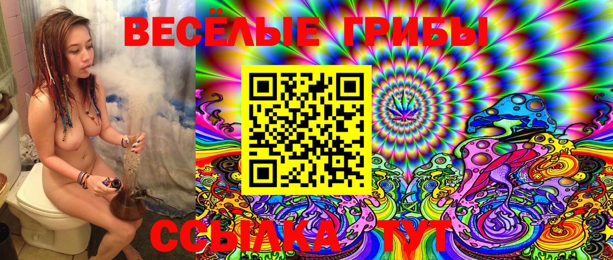 Галлюциногенные грибы MAGIC MUSHROOMS  Галлюциногенные грибы мухоморы  Вход с VPN  Сегежа 