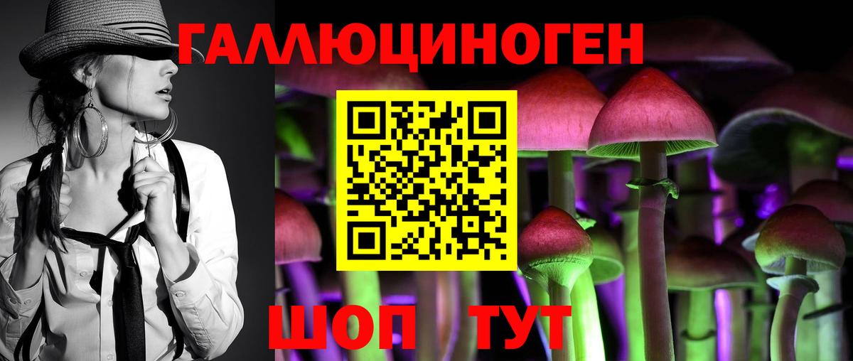 Псилоцибиновые грибы Psilocybe Сегежа